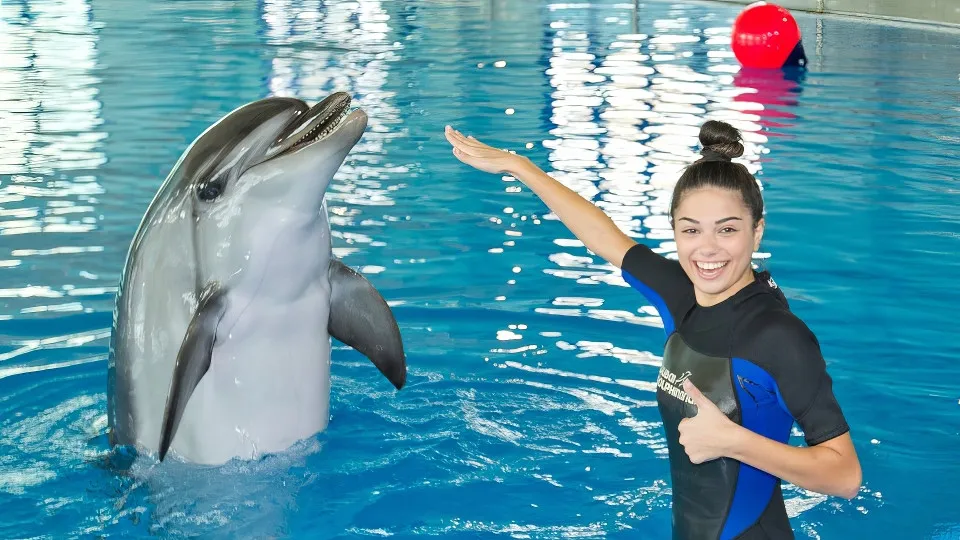 Swimming With Dolphins – Dubai Dolphinarium - Image 1