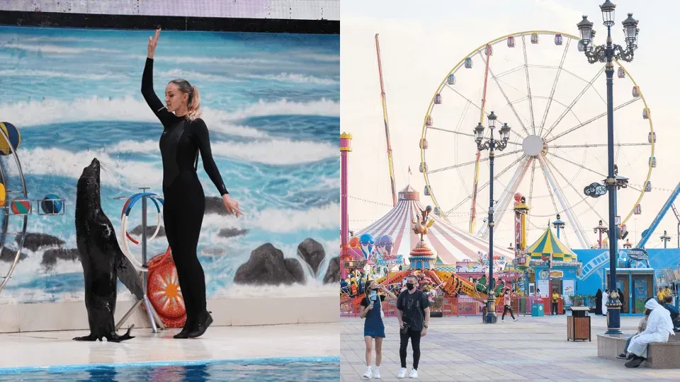 Dolphin & Seal Show + Global Village – Combo - Image 1